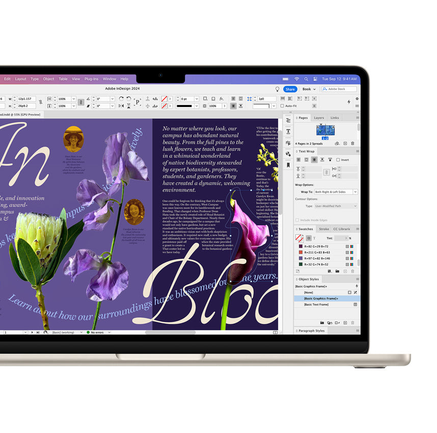 iPads are available for university students at iStore Mauritius with a special discount.